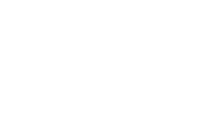 Ritz Carlton Orlando Logo